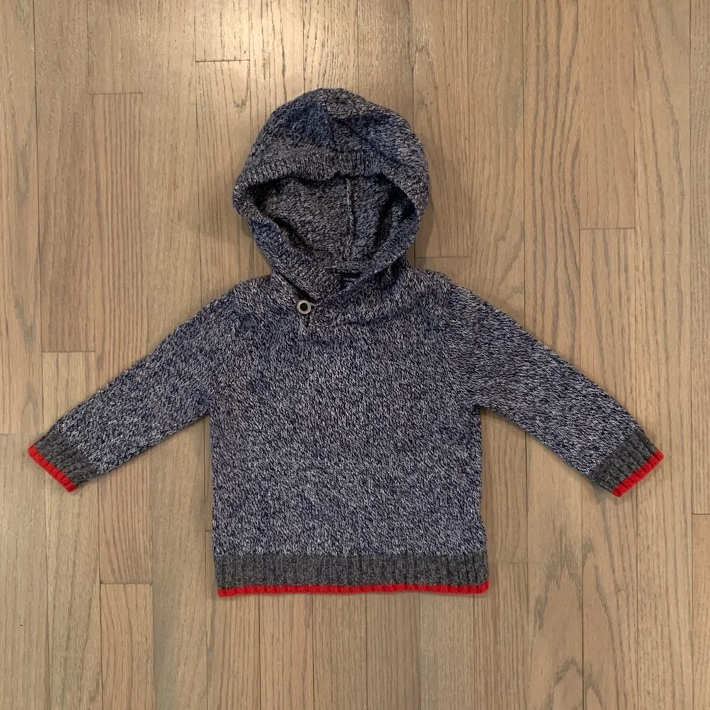 GAP Hooded Sweater